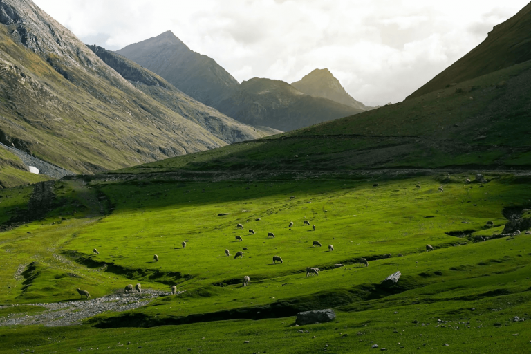 Gulmarg in Summer: Embracing the Warmth and Natural Beauty – khyberhotels