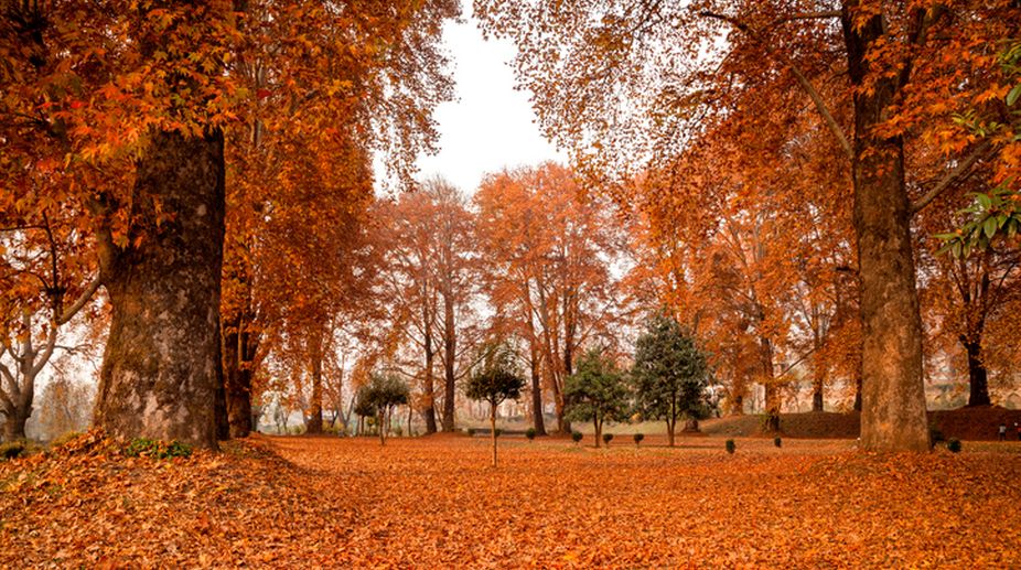 autumn in kashmir