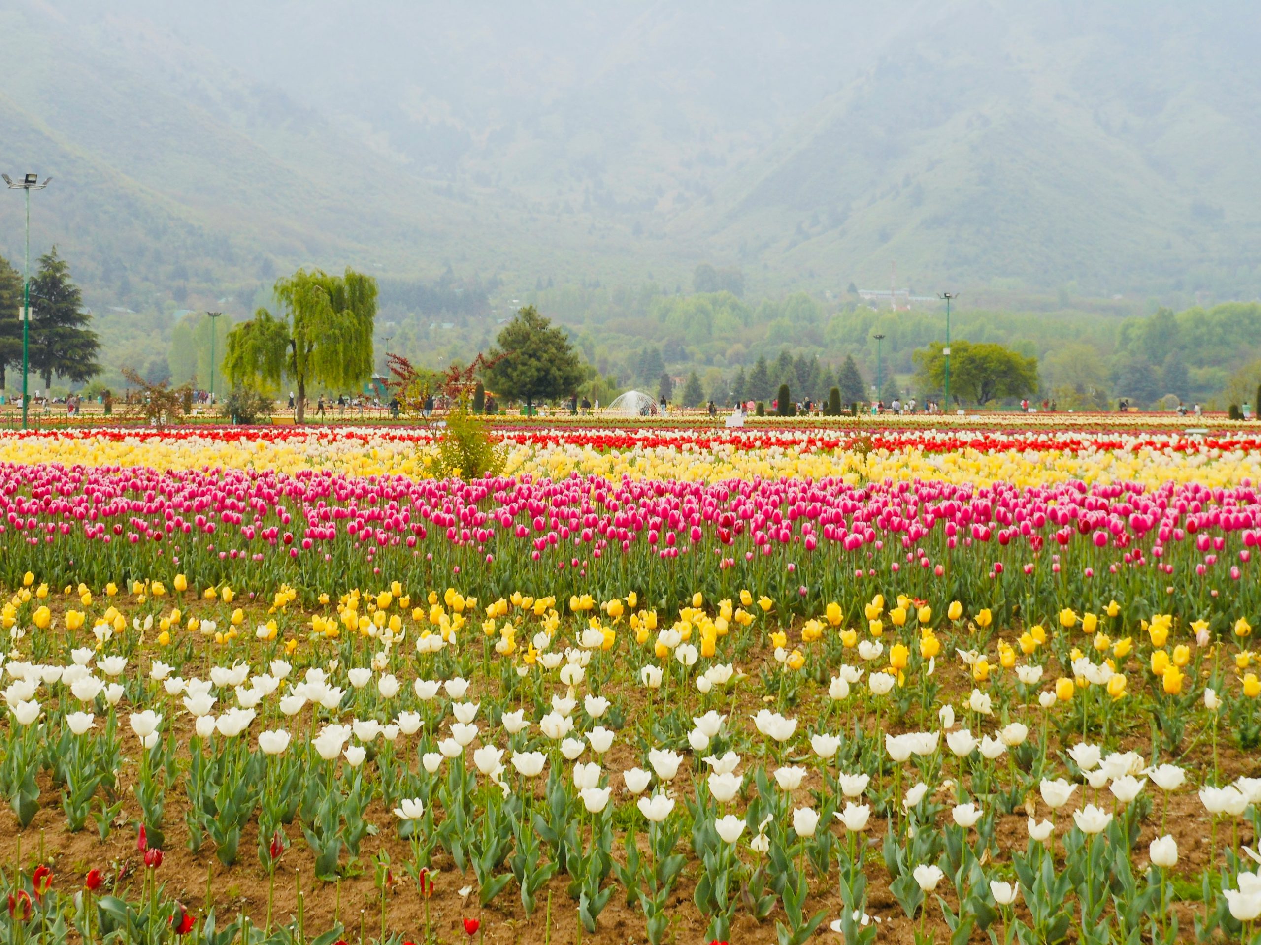 festivals of kashmir